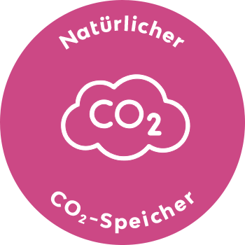 button-CO2-Speicher