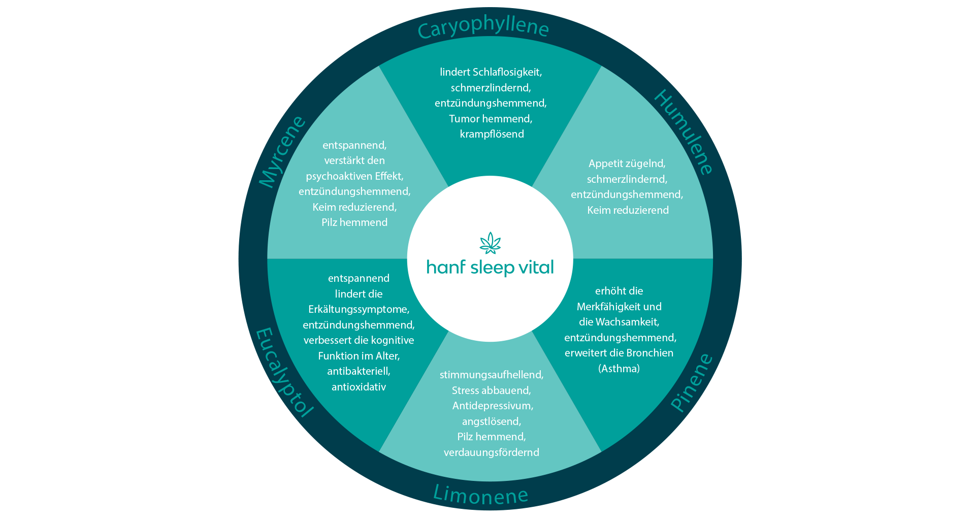 hanf-sleep-vital-Terpene